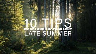 10 Tips for Woodland Photography in Late Summer | Landscape Photography