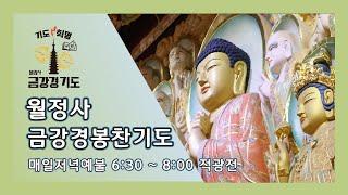 금강경 봉찬 저녁 온라인 기도 | 2024년 9월 24일 화요일 저녁 6:30~8:00