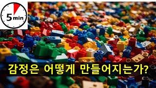 [심화학습] 감정이 만들어지는 과정