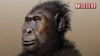 A New Species of Prehistoric Human Relative Has Been Recognised