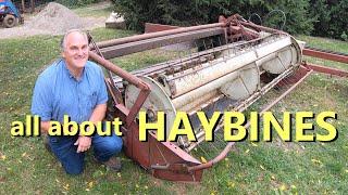 all about HAYBINES: how they work, adjustment, maintenance, and what to look for when buying