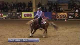 Special of Roleski Ranch & Reining Shows 2011