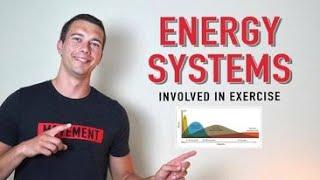 CSCS Chapter 3 Bioenergetics | Energy Systems During Exercise and How ATP is Made