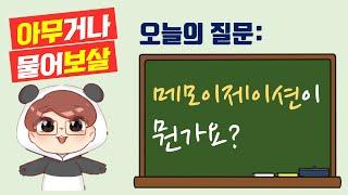아무거나 물어보살: 메모이제이션(memoization)이 뭔가요? feat. by 피보나치 수열 문제