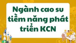 Tiềm Năng và Cơ Hội Đầu Tư Cao Su Đồng Phú (DPR) - Phân Tích Toàn Diện