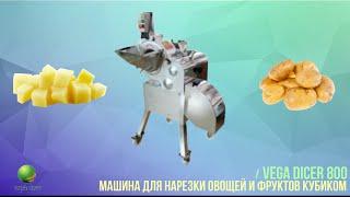 Промышленная овощерезка для нарезки кубиком картофеля и других овощей, фруктов Vega Dicer 800