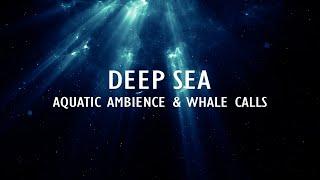 Whale Calls & Underwater Ambience | 2HR Sleep Ambience | Deep Sea