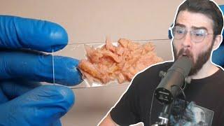 HasanAbi reacts to Why There Is Plastic In Fish Meat - Daily Dose of Internet