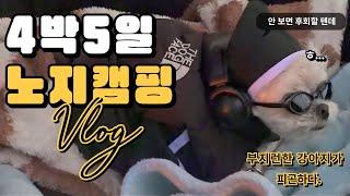 [4K] 애견동반 4박5일 겨울바다 노지캠핑 알짜배기 모음ㅣ텐트 피칭부터 보드게임까지 초대캠의 모든 것ㅣ킬포 많음 주의