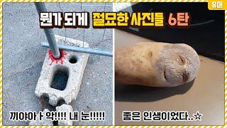 뭔가 되게 절묘하게 찍힌 사진들 6탄ㅋㅋㅋㅋㅋㅋㅋㅋㅋㅋㅋㅋㅋㅋ