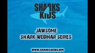 Sharks4Kids: Sharks 101