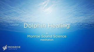 Dolphin Healing