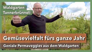 Frischgemüse fürs ganze Jahr - Mehrjähriges Gemüse | Waldgarten Tannerbrünneli | Rundgang 2 | 2023