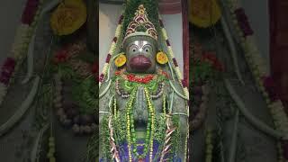 Jai shree Hanuman |hanumanji #shorts #jaishreeram #jaihanuman