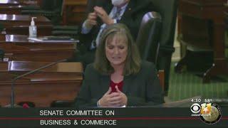 Texas Public Utilities Commission Chair DeAnn Walker Resigns Following Outcry Over Power Grid Failur