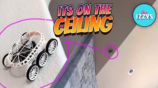 CAN THIS RC ROVER ACTUALLY CLIMB THE CEILING?!?!