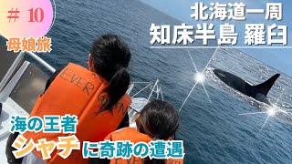 【知床半島 羅臼 (北海道 #10)】海の王者シャチに遭遇率11%の奇跡で出会う| 秘境露天風呂 |ロードトリップ|母娘旅