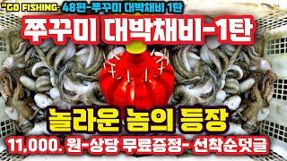 #고피싱 48편- 쭈꾸미대박채비 1탄- 놀라운 아이디어의 강추채비-연락처 무료증정 신청전화 : 신동훈님 010-2956-2600