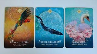 Your Future Spouse - Pick a Card - Timeless Tarot