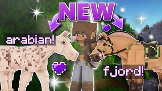 *NEW* SWEM MODELS | Fjords, Arabians, and Cobs [MC EQUESTRIAN]