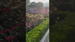 곡성섬진강기차마을