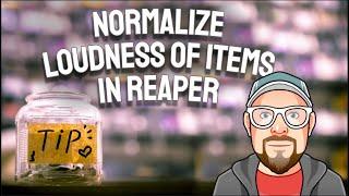 Normalize Loudness of Items in REAPER