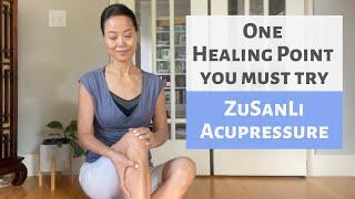 ONE HEALING POINT YOU MUST TRY | ACUPRESSURE | TCM | ZU SAN LI | ST-36