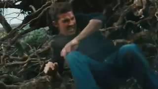 Forest Battle - Alterante Music