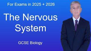 GCSE Biology Revision "The Nervous System"