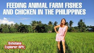 FARM GIRL FEEDING FISHES AND CHICKENSUBAY BOHOLBUHAY PROBINSYA