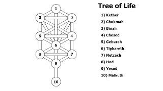 The Chakras And The Tree Of Life