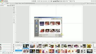 Picasso dg photo album software Photo gallery introduction demo