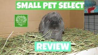 Small Pet Select Review and Unboxing || LovableLop