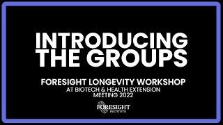 Foresight Longevity Workshop | Introducing the Groups