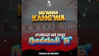 Ng'wana Kang'wa - Ufunguzi wa shule Ibadakuli "B" (Audio Visualizer)