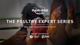 Episode 2 - Factors to consider when supplementing young chicks.