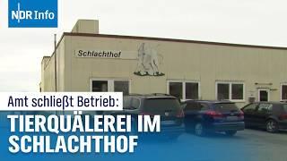 Tierquälerei: Amt schließt Schlachthof in der Wesermarsch | NDR Info