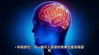 量子心靈：意識和量子世界之間的哲學辯論