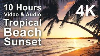 4K 10 Hours - Stunning Tropical Beach Sunset - mindfulness, ambience, relaxing, meditation, nature