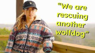 Maya talks about getting ANOTHER wolfdog and works on a den at Alveus