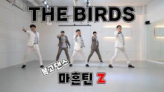 'Z'  [복고댄스] THE BIRDS Bokko dance  'Z'