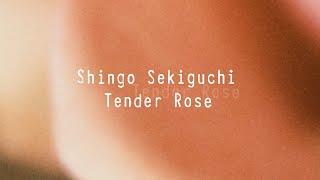 Shingo Sekiguchi - Tender Rose [Official Audio]