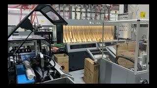 TUVA - Karton Bardak Paketleme Makinesi Hattı / Paper Cup Packing Machine Line