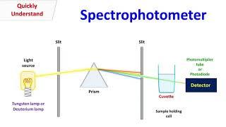 Spectrophotometer