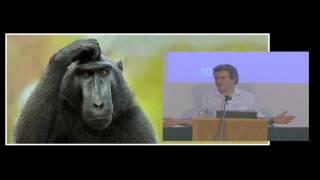 Premise, Argument and Meaningful Reevaluation... Intellectual Honesty
