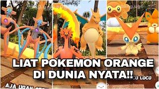 POKEMON WARNA ORANGE DI DUNIA NYATA !! 