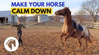 How To Calm An Anxious Horse