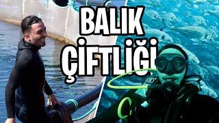 BALIK ÇİFTLİĞİNE DALDIM!! (EFSANE VİDEO)