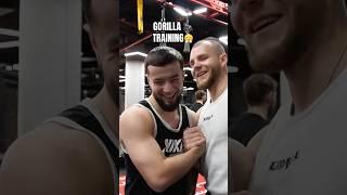 Gorilla Smiley in die Kommentare!  #paschawall #hamsatshadalov #shorts #viral #trending #boxing