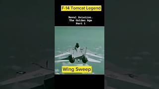 F14 Tomcat. A Legend. WingSweep. #f14 #topgun #wingsweep